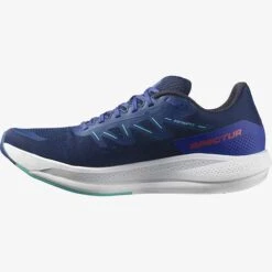Salomon Men's Spectur Running Shoe - Estate Blue - Regular (D) 10 Salomon Men's Spectur Running Shoe - Estate Blue - Regular (D) -Gazelle Sports L41589900 db42dd799f39e42eb2172faad4d64078